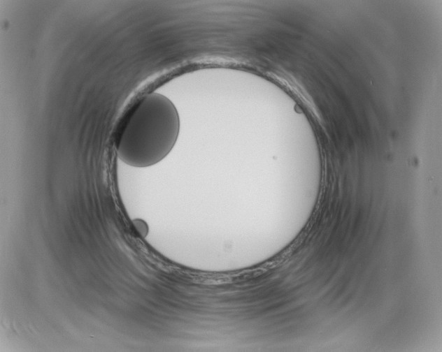 X0000085840204200704132112