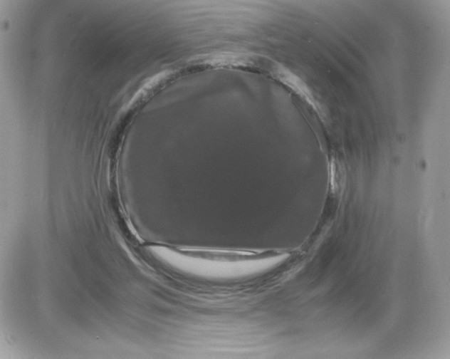 X0000085840205200704132112