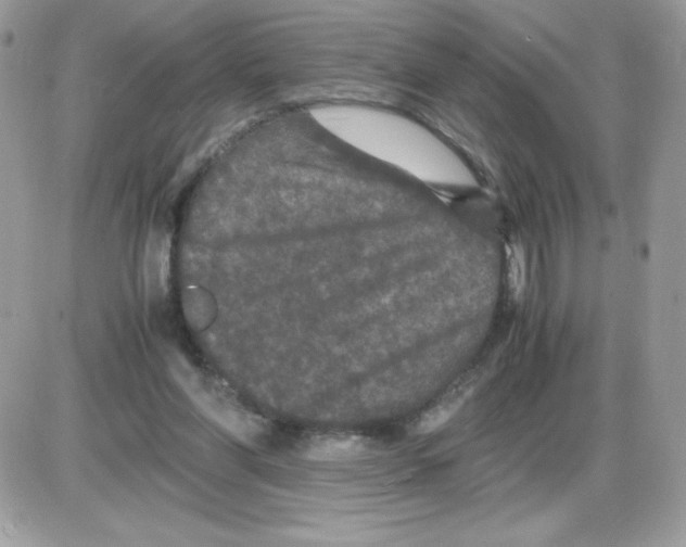 X0000085840206200704132112