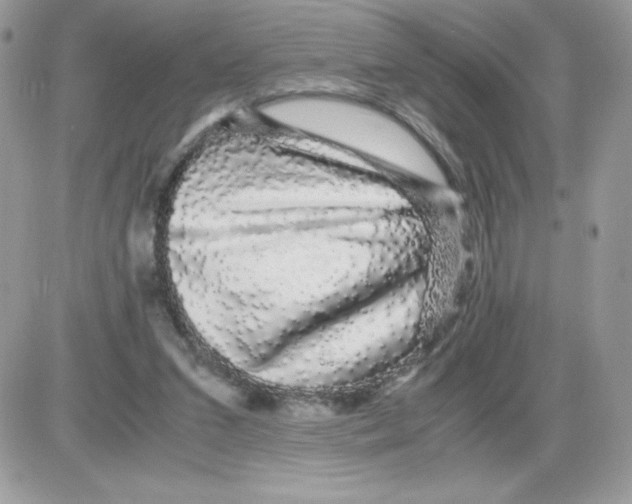 X0000085840207200704132112