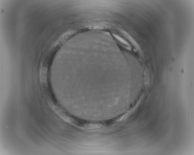 X0000085840209200704132112