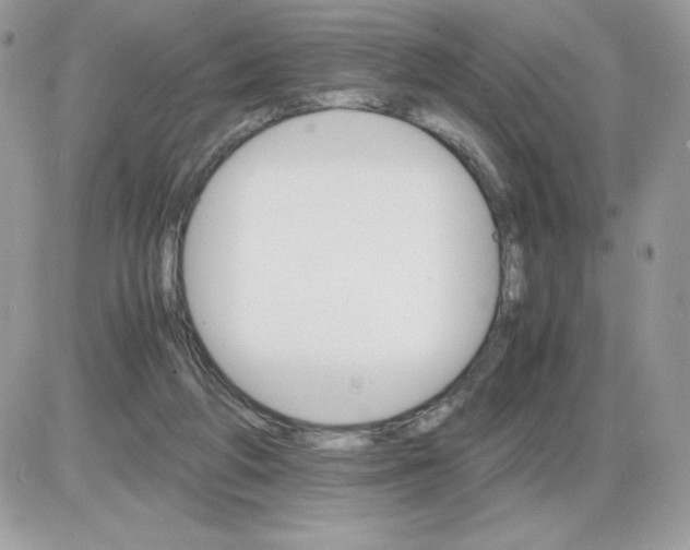 X0000085840210200704132112