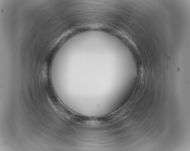 X0000085840212200704132112