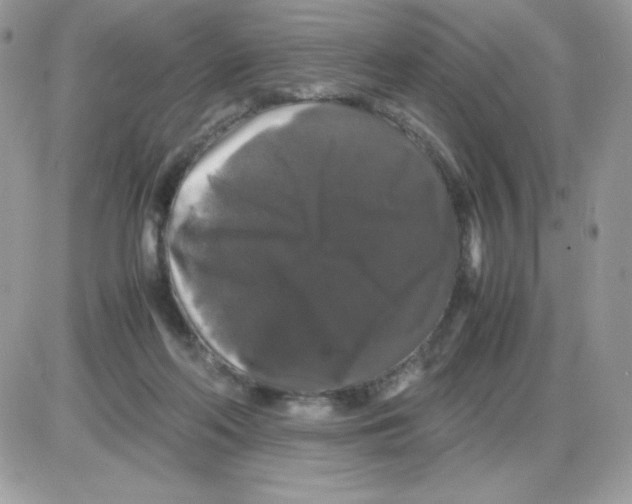 X0000085840214200704132112