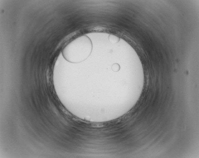 X0000085840216200704132112