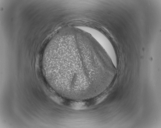 X0000085840217200704132112