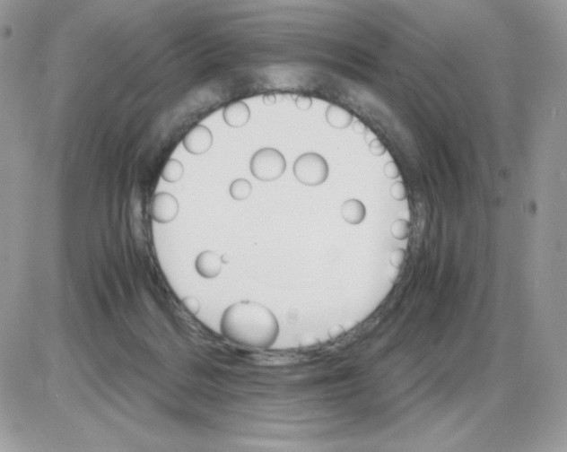 X0000085840220200704132112