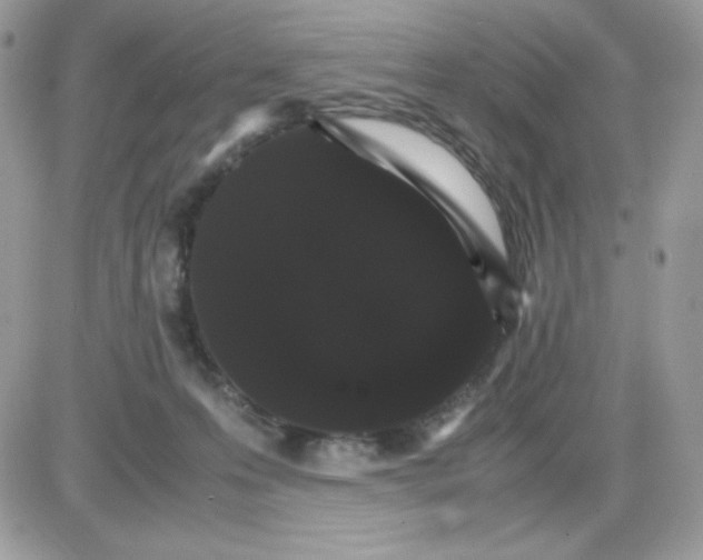 X0000085840223200704132112