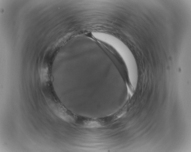 X0000085840224200704132111