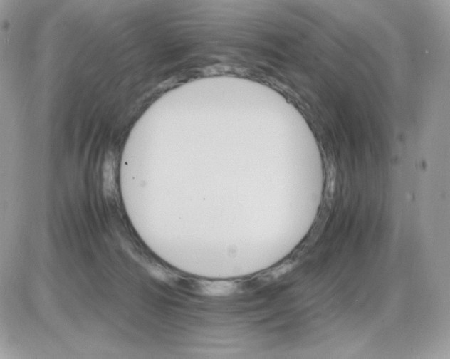 X0000085840226200704132111