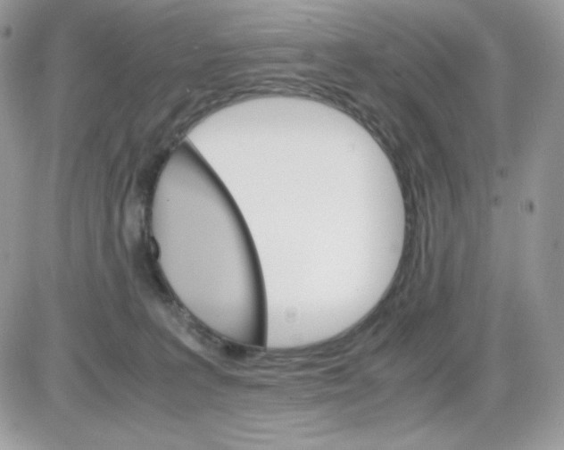 X0000085840227200704132111