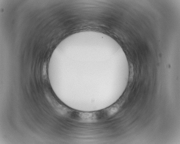 X0000085840230200704132111