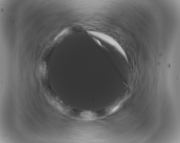 X0000085840231200704132111