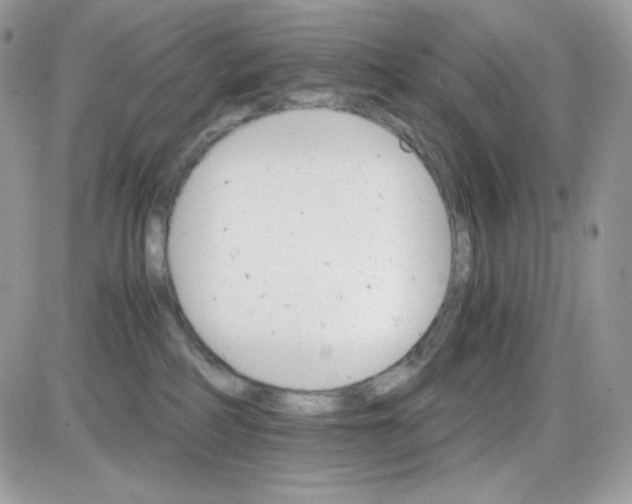 X0000085840234200704132111