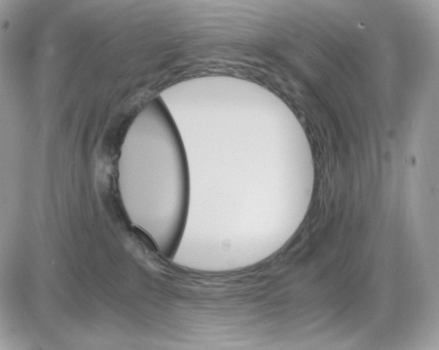 X0000085840235200704132111