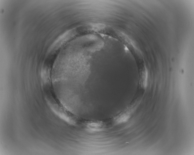 X0000085840236200704132111