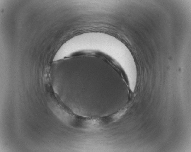 X0000085840237200704132111