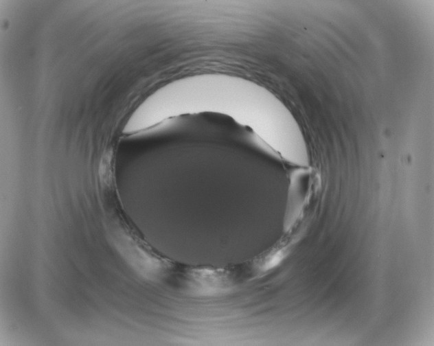 X0000085840239200704132111