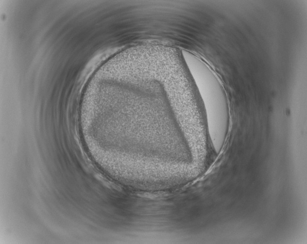 X0000085840241200704132110