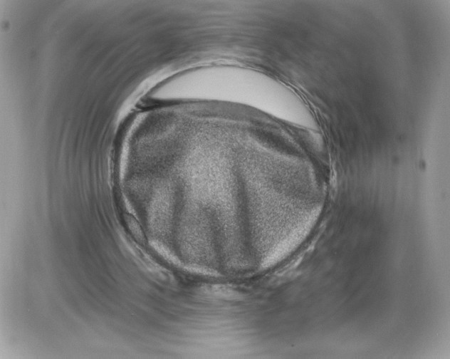 X0000085840244200704132110