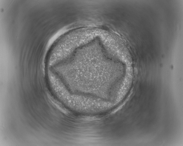 X0000085840246200704132111