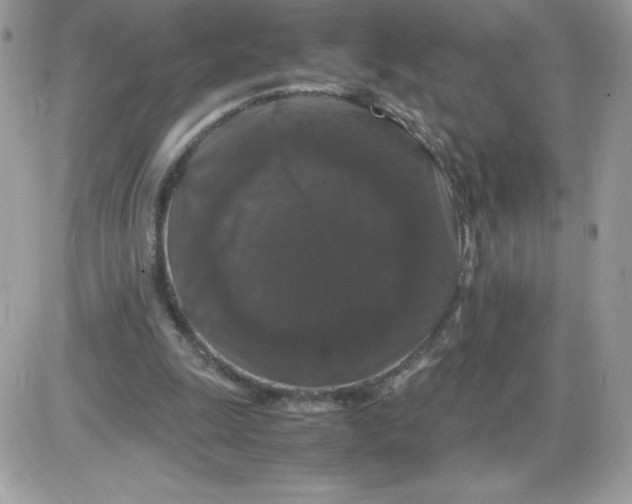 X0000085840247200704132111