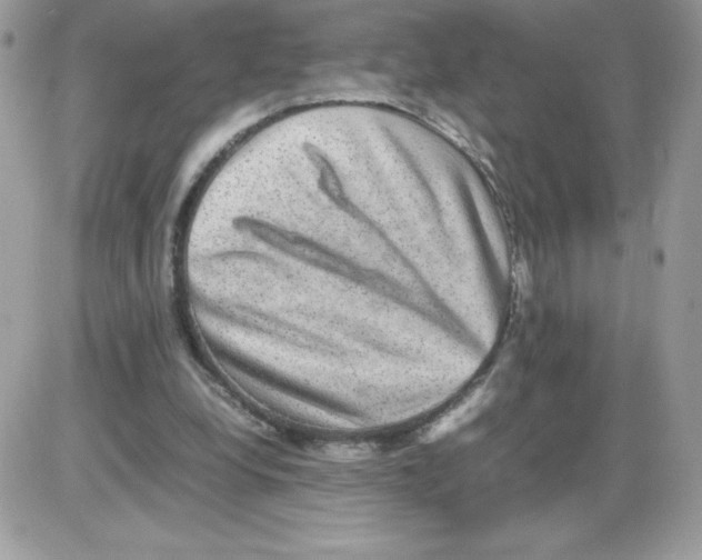 X0000085840248200704132111