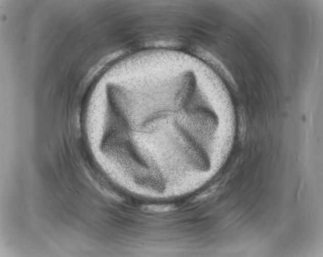 X0000085840251200704132111