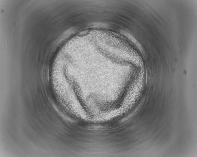 X0000085840253200704132111