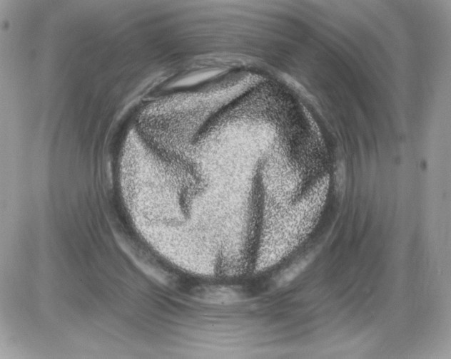 X0000085840254200704132111