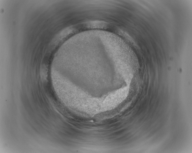 X0000085840255200704132111