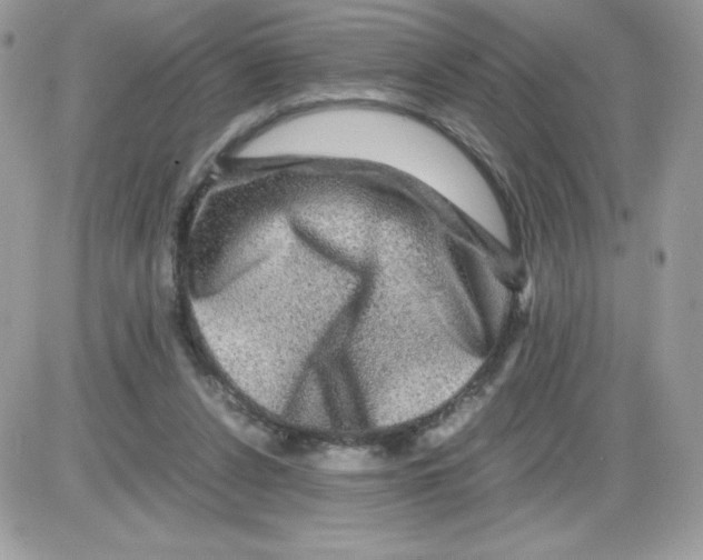 X0000085840256200704132111