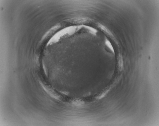 X0000085840258200704132111