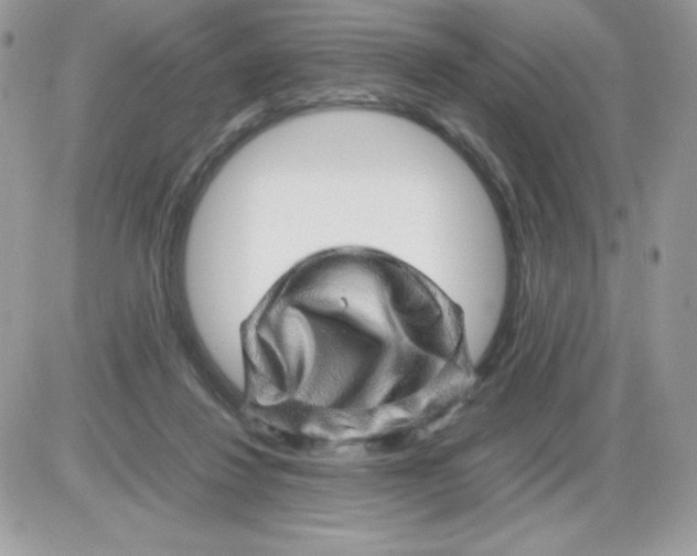 X0000085840260200704132111