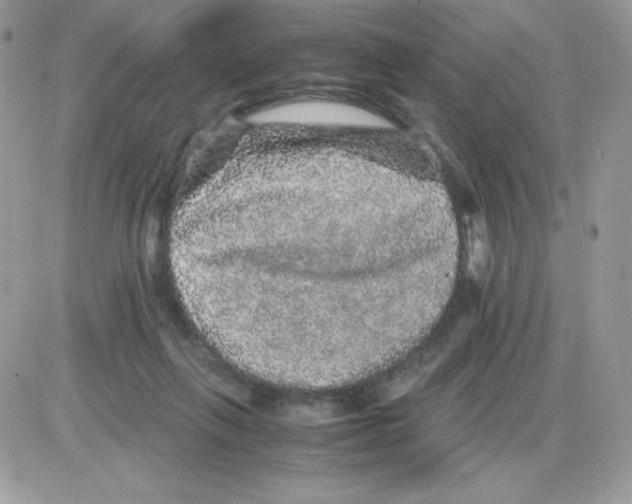 X0000085840263200704132111