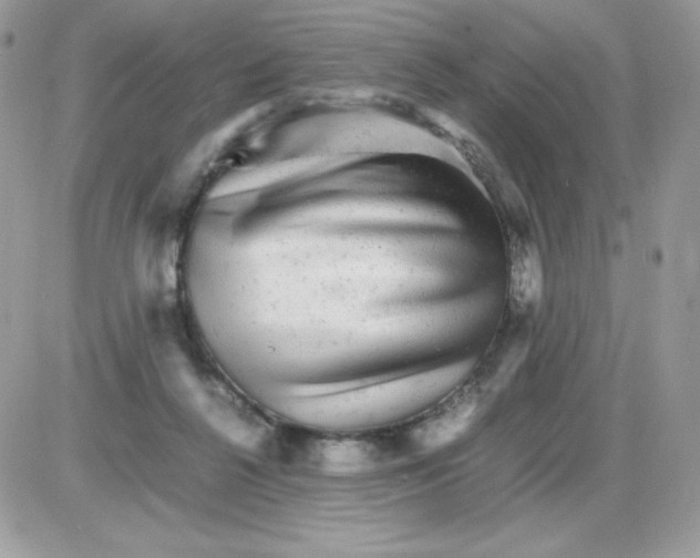 X0000085840264200704132111