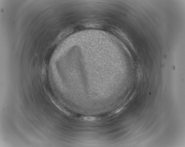 X0000085840265200704132111