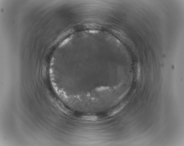 X0000085840266200704132111