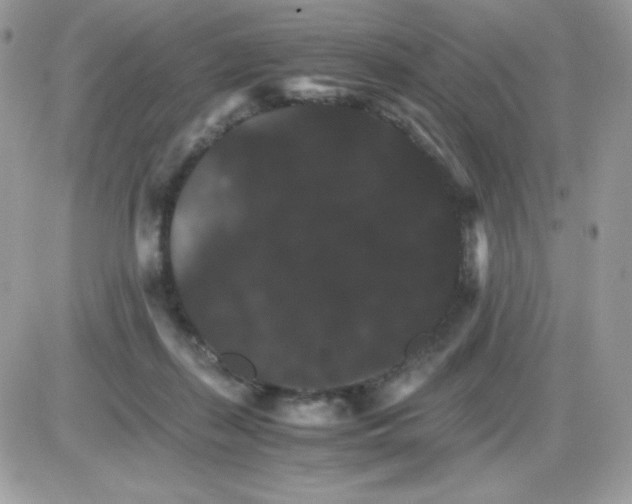 X0000085840267200704132111