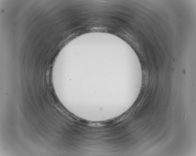 X0000085840269200704132111