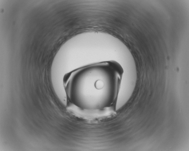 X0000085840272200704132111