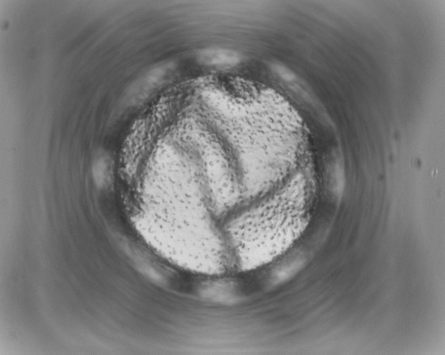 X0000085840274200704132111