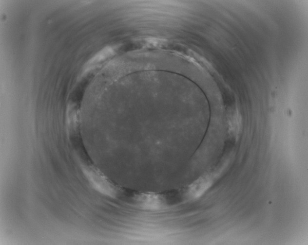 X0000085840276200704132111