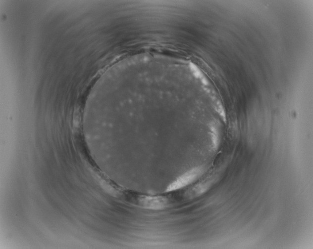 X0000085840277200704132111