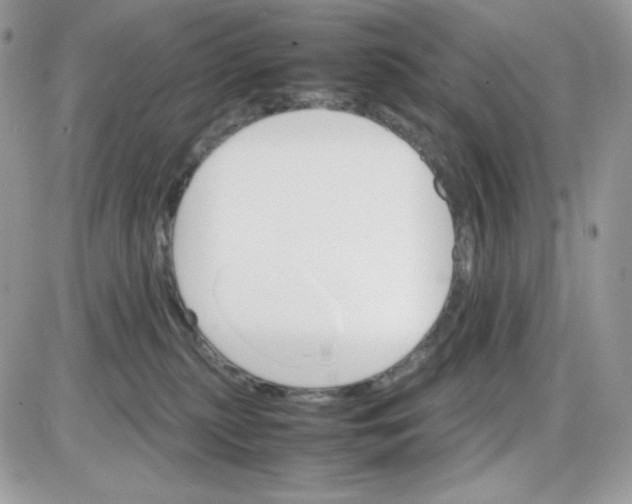 X0000085840279200704132111