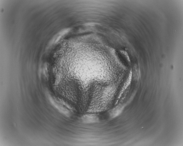 X0000085840280200704132111