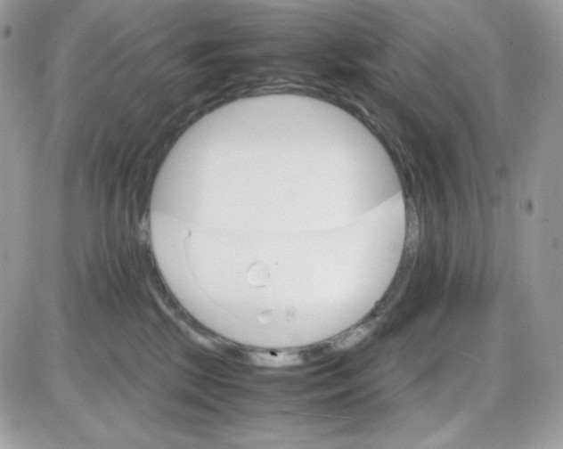 X0000085840281200704132111