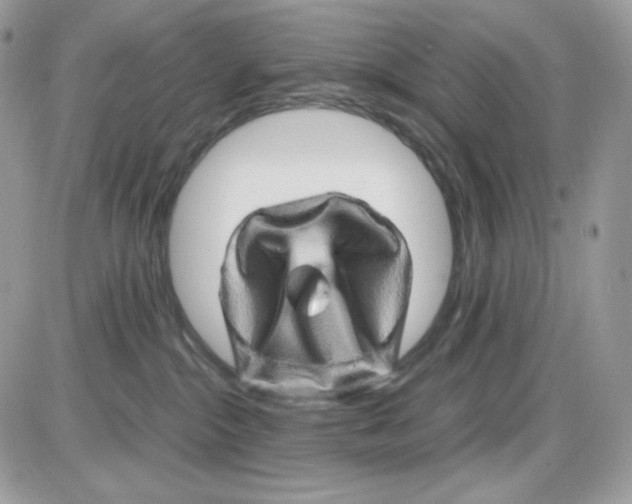 X0000085840284200704132111