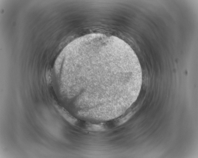 X0000085840285200704132111