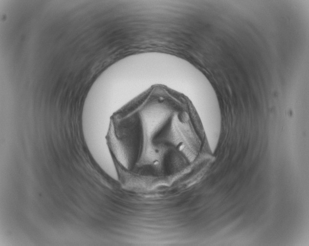 X0000085840286200704132111